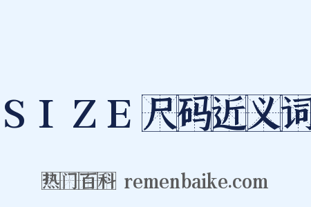SIZE尺码近义词是什么意思的图片